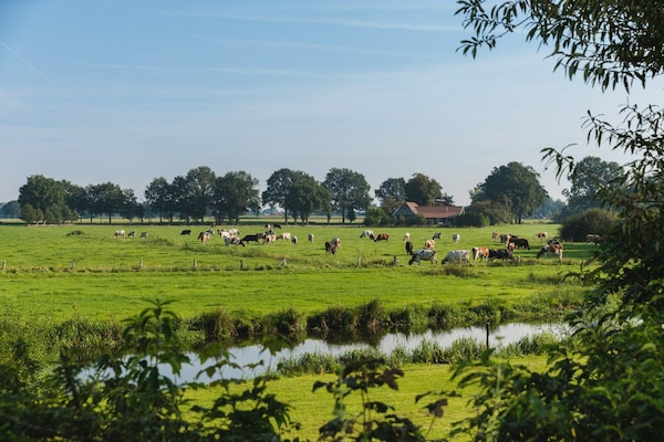 Foto van Boomhuttent met panoramisch uitzicht - Vakantiehuis in Zuna - AreaSummer5KM