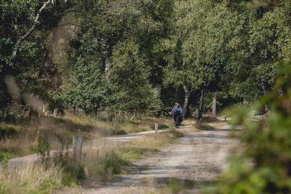 Foto van Boomhuttent met panoramisch uitzicht - Vakantiehuis in Zuna - AreaSummer5KM