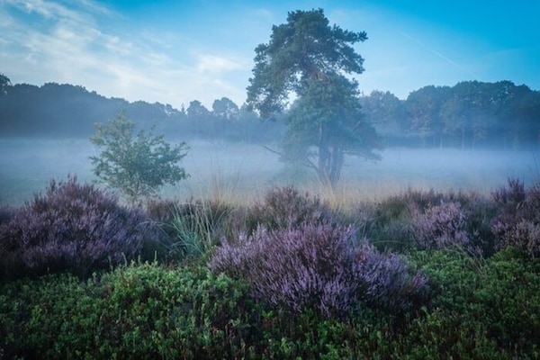 Foto van Boomhuttent met panoramisch uitzicht - Vakantiehuis in Zuna - AreaWinter5KM