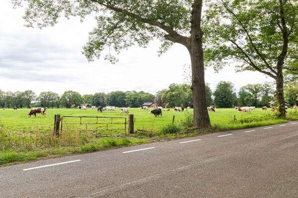 Foto van Villa in Vilamoura met Zwembad bij Strand - Vakantiehuis in Enschede - AreaSummer1KM