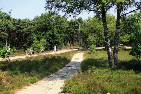 Foto van Chalet in Stegeren bij wandelroutes - Vakantiehuis in Stegeren - AreaSummer5KM