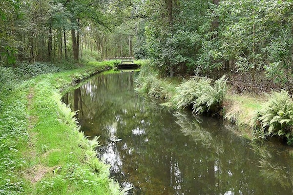 Foto van Chalet in Stegeren bij wandelroutes - Vakantiehuis in Stegeren - AreaSummer5KM