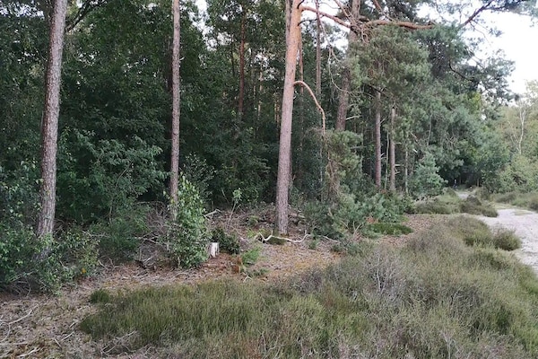 Foto van Chalet in Stegeren bij wandelroutes - Vakantiehuis in Stegeren - AreaSummer5KM