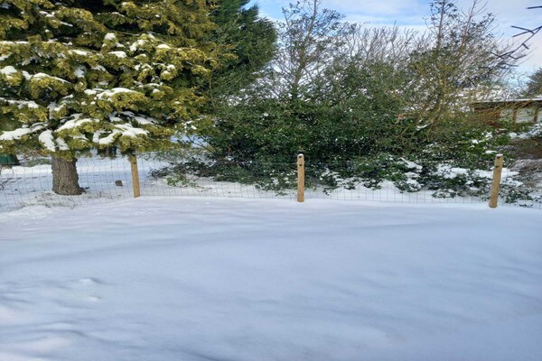 Foto van Chalet in Stegeren bij wandelroutes - Vakantiehuis in Stegeren - ExteriorWinter
