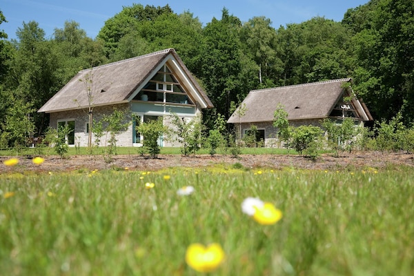 Foto van Wellness Villa | Finse sauna - Vakantiehuis in Ruinen - ExteriorSummer