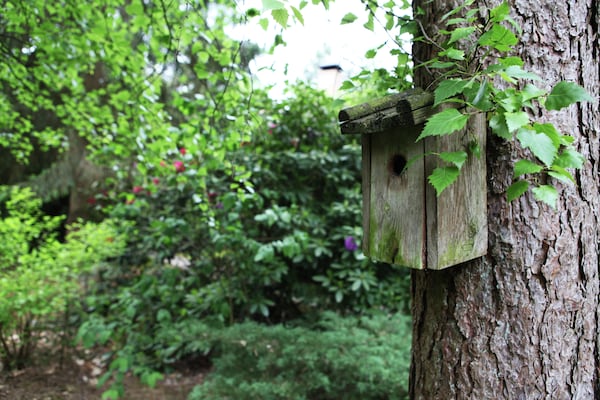 Foto van Woodland Group Villa nabij Veluwe & Campfire - Vakantiehuis in Doornspijk - GardenSummer