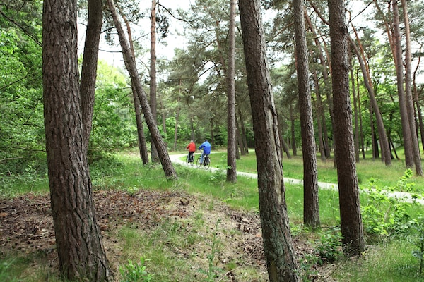 Foto van Woodland Group Villa nabij Veluwe & Campfire - Vakantiehuis in Doornspijk - AreaSummer1KM
