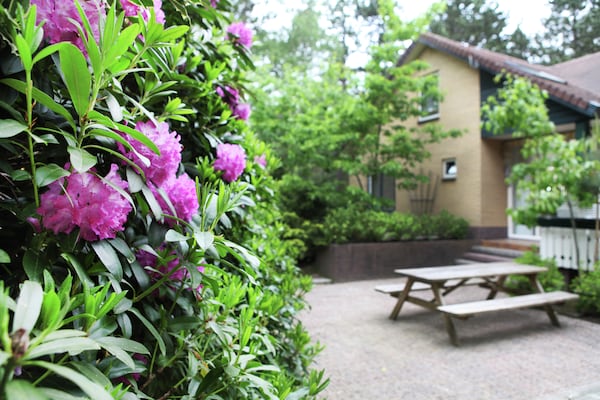 Foto van Woodland Group Villa nabij Veluwe & Campfire - Vakantiehuis in Doornspijk - GardenSummer