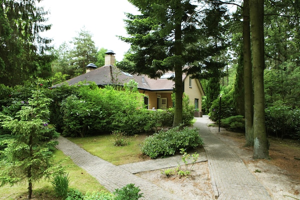 Foto van Woodland Group Villa nabij Veluwe & Campfire - Vakantiehuis in Doornspijk - ExteriorSummer