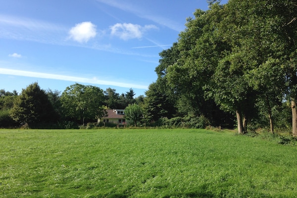 Foto van Familieverblijf met grote tuin - Vakantiehuis in Heino - AreaSummer1KM