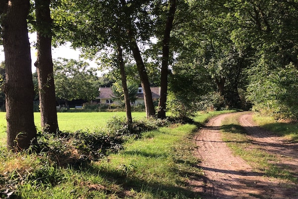 Foto van Familieverblijf met grote tuin - Vakantiehuis in Heino - AreaSummer1KM