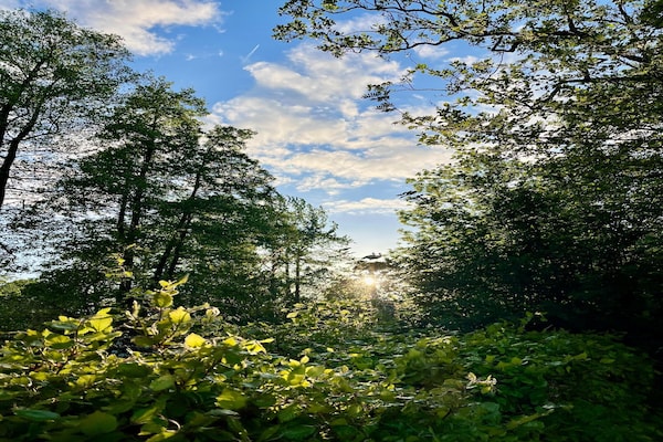 Foto van Vakantiehuis in Scherpenzeel - Vakantiehuis in Scherpenzeel (FR) - AreaSummer5KM