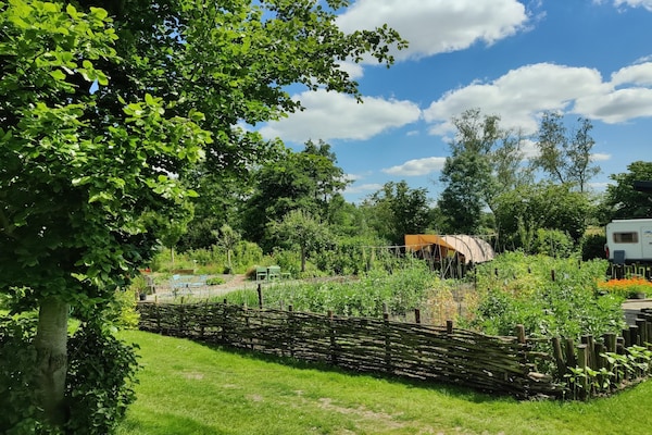 Foto van Vakantiehuis in Scherpenzeel - Vakantiehuis in Scherpenzeel (FR) - AreaSummer1KM