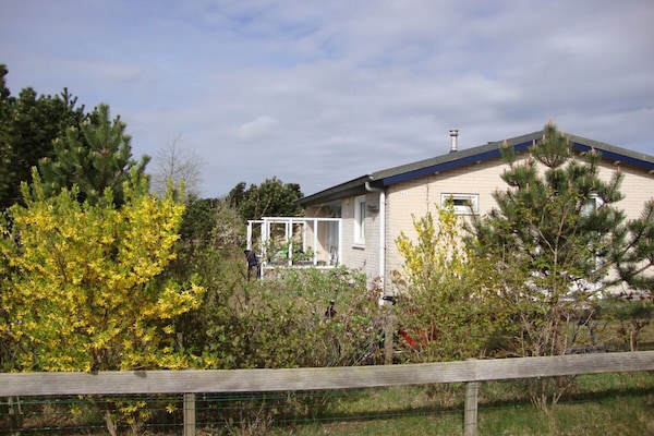 Foto van Bungalow in Ballum met zwembad - Vakantiehuis in Ballum - Untagged
