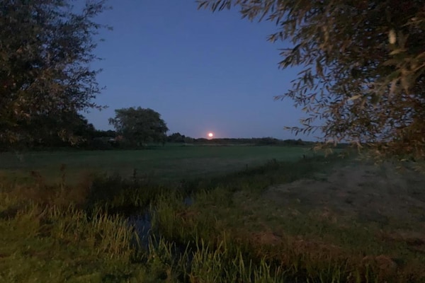 Foto van Friesland Chalet nabij het water - Vakantiehuis in De Veenhoop - AreaSummer20KM
