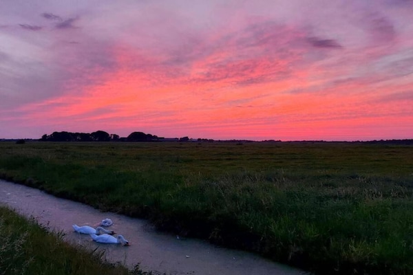 Foto van Friesland Chalet nabij het water - Vakantiehuis in De Veenhoop - AreaSummer20KM