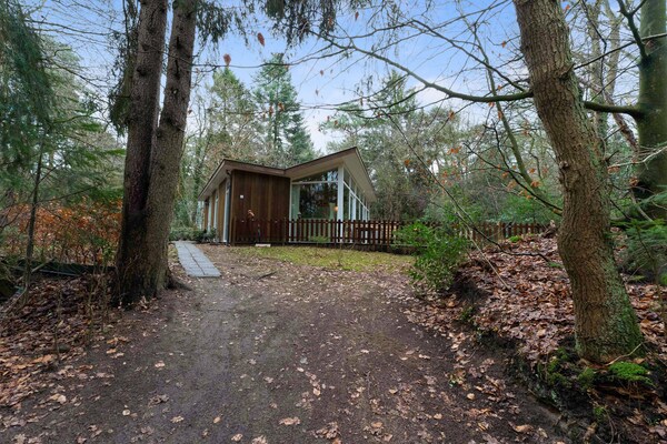 Foto van Boswoning in Norg met eigen sauna - Vakantiehuis in Norg - ExteriorSummer