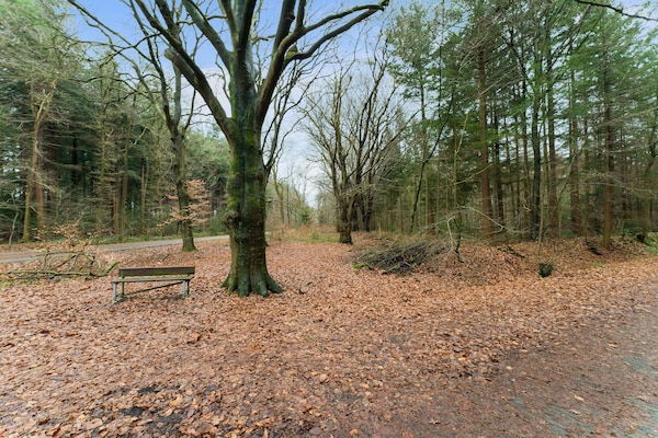 Foto van Boswoning in Norg met eigen sauna - Vakantiehuis in Norg - GardenSummer