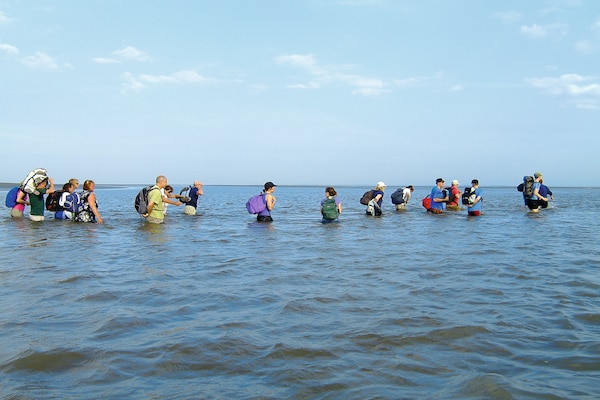 Foto van Comfortabele bungalow voor een groep - Vakantiehuis in Vlagtwedde - AreaSummer5KM