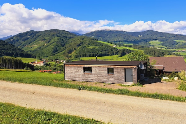 Foto van Loft in Gaal bij de skipistes - Vakantiehuis in Gaal im Murtal - ExteriorSummer