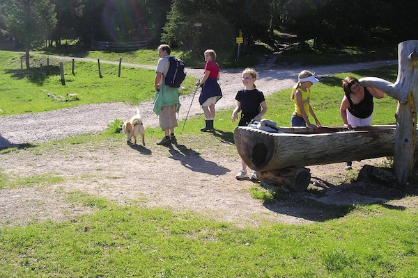 Foto van Appartement bij Schatzberglift Wildschönau - Vakantiehuis in Wildschönau - AreaSummer5KM