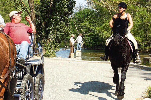 Foto van Zonnig Provençaals huis met terras - Vakantiehuis in Monteux - AreaSummer1KM