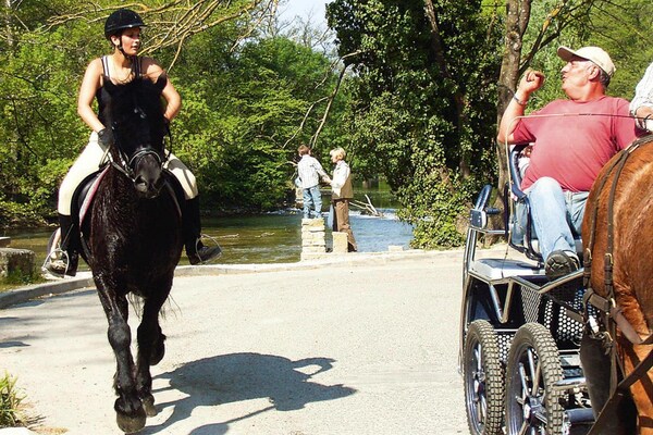 Foto van Zonnig Provençaals huis met terras - Vakantiehuis in Monteux - AreaSummer1KM