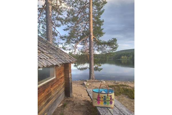 Foto van Bed & Breakfast in Bjuråker met zwembad - Vakantiehuis in Bjuråker - Untagged