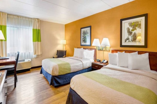 Foto van 2 tweepersoonsbedden | Niet roken - Vakantiehuis in MILFORD - BedRoom