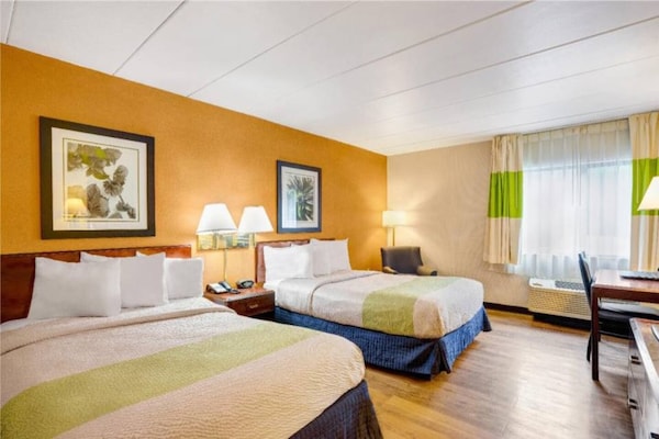 Foto van 2 tweepersoonsbedden | Niet roken - Vakantiehuis in MILFORD - BedRoom