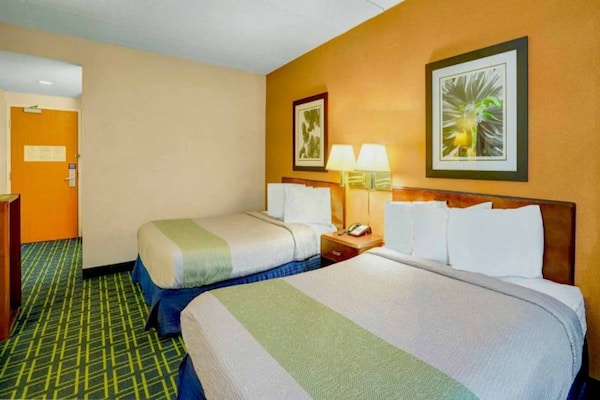 Foto van 2 tweepersoonsbedden | Niet roken - Vakantiehuis in MILFORD - BedRoom