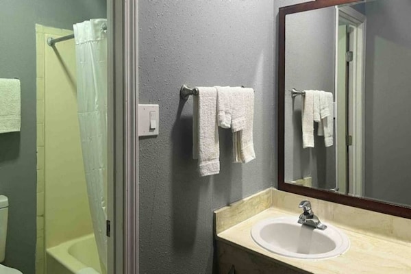 Foto van 1 kingsize bed | Rookvrij, koelkast - Vakantiehuis in Borger TX - BathRoom