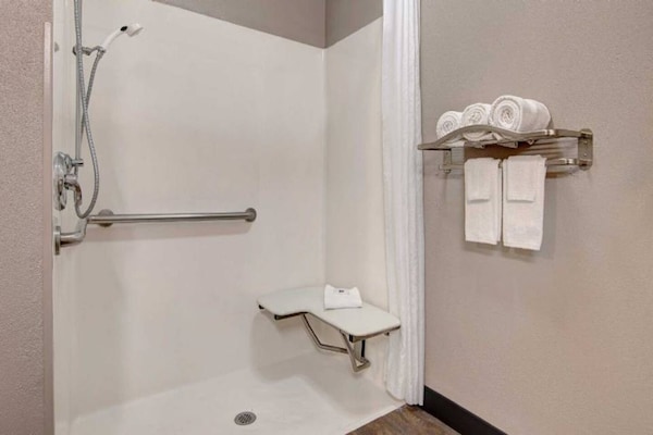 Foto van 1 tweepersoonsbed (queensize) | Rookvrij - Vakantiehuis in Gainesville - BathRoom