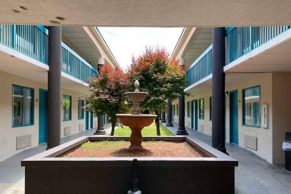 Foto van 2 queensize bedden | Suite, rookvrij, koelkast - Vakantiehuis in Savannah GA - ExteriorSummer