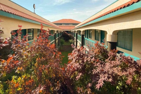 Foto van 2 queensize bedden | Suite, rookvrij, koelkast - Vakantiehuis in Savannah GA - ExteriorSummer