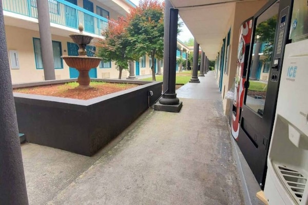 Foto van 2 queensize bedden | Suite, rookvrij, koelkast - Vakantiehuis in Savannah GA - ExteriorSummer