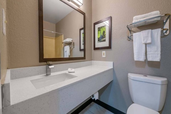 Foto van 2 tweepersoonsbedden | Niet-roken, Keuken - Vakantiehuis in Columbus GA - BathRoom