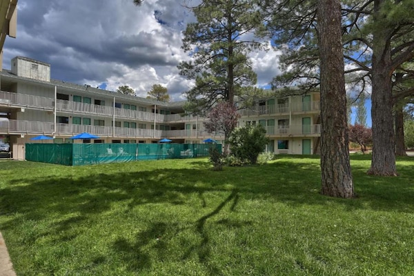 Foto van 2 tweepersoonsbedden | Koelkast - Vakantiehuis in Flagstaff AZ - Outdoor
