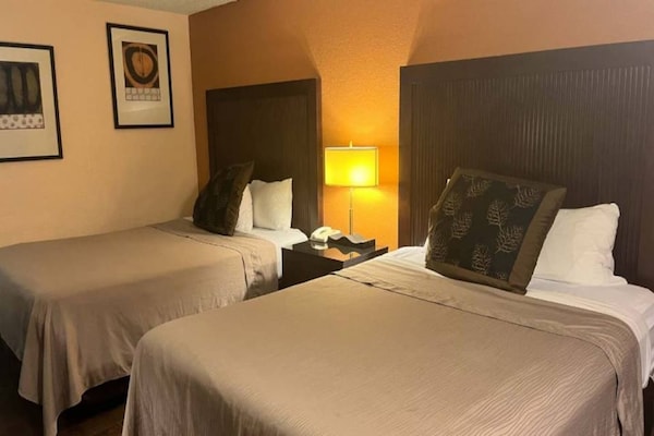 Foto van 2 tweepersoonsbedden (queensize) | Roken toegestaan, koelkast aanwezig - BedRoom