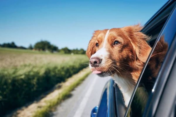 Foto van 1 tweepersoonsbed | Rookvrij, Keuken - Vakantiehuis in Casper WY - Facilities