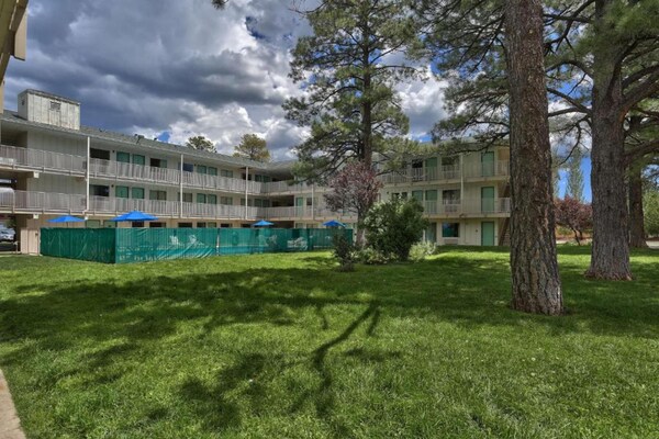 Foto van 2 tweepersoonsbedden | Premium, Micfridge - Vakantiehuis in Flagstaff AZ - Outdoor