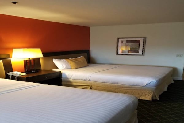 Foto van 2 kingsize bedden | Nsmk, Micfridge - Vakantiehuis in Anaheim - BedRoom