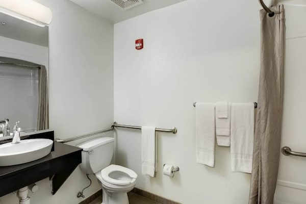Foto van 1 tweepersoonsbed (queensize) | Niet-roken - Vakantiehuis in East Brunswick - BathRoom