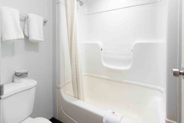 Foto van 2 tweepersoonsbedden | Premium, Micfridge - Vakantiehuis in Lantana - BathRoom