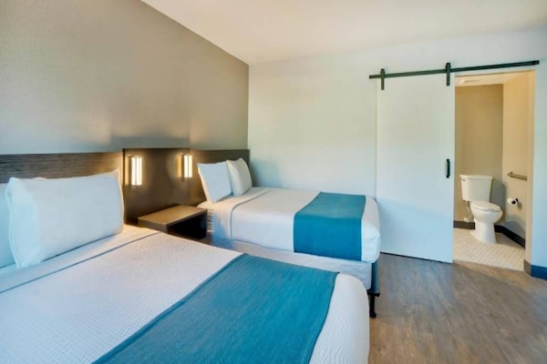 Foto van 2 tweepersoonsbedden | Premium, Micfridge - Vakantiehuis in Fort Lauderdale - BedRoom