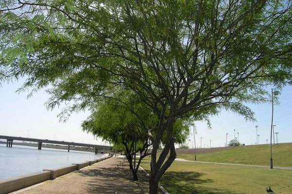Foto van 2 tweepersoonsbedden | Minikoelkast - Vakantiehuis in Tempe - Facilities