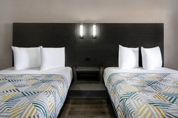 Foto van 2 tweepersoonsbedden (queensize) | Rolstoeltoegankelijk bad - BedRoom