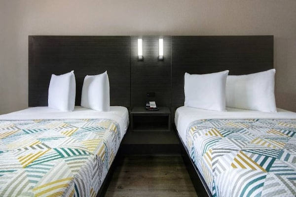 Foto van 2 tweepersoonsbedden (queensize) | Rolstoeltoegankelijk bad - BedRoom