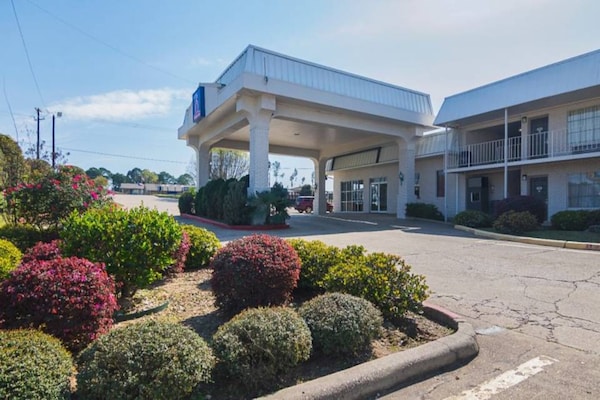Foto van 2 tweepersoonsbedden (queensize) |, Keuken - Vakantiehuis in Tyler TX - ExteriorSummer
