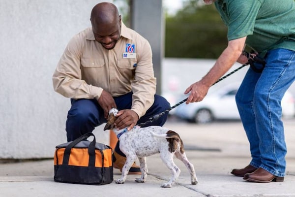 Foto van 2 tweepersoonsbedden (queensize) | Rookvrij - Vakantiehuis in Indianapolis IN - Facilities